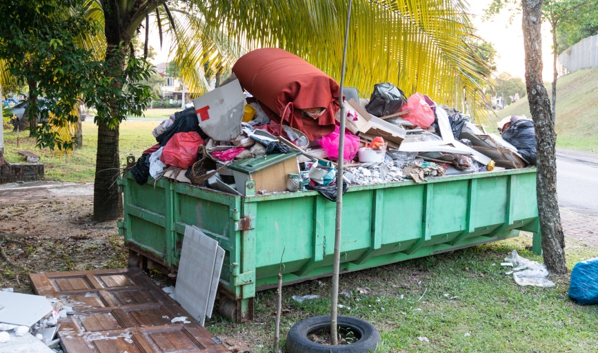 Yard Waste Removal